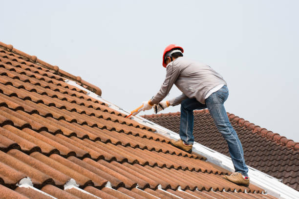 Best Slate Roofing  in Three Oaks, MI